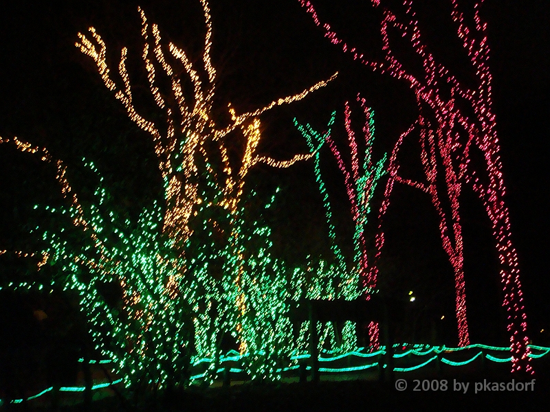 057 Toledo Zoo Light Show [2008 Dec 27].JPG - Scenes from the Toledo Zoo Light Show.